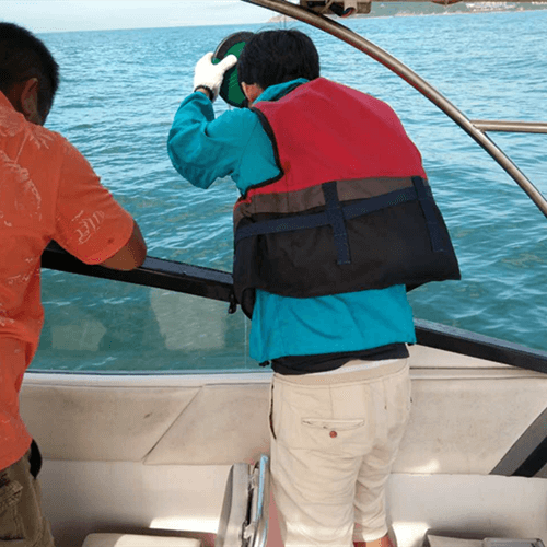 Как пьезо стал глобально известным брендом