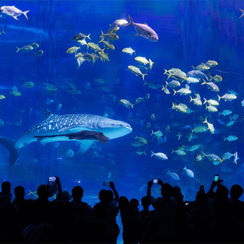 Пьезо эффект пезоэлектрического керамического материала Pzt