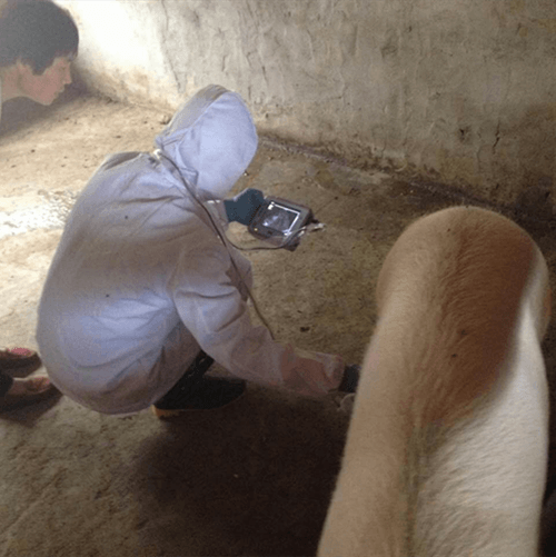 Десять вопросов о пьезовых дисках и цилиндрах вы должны честно ответить