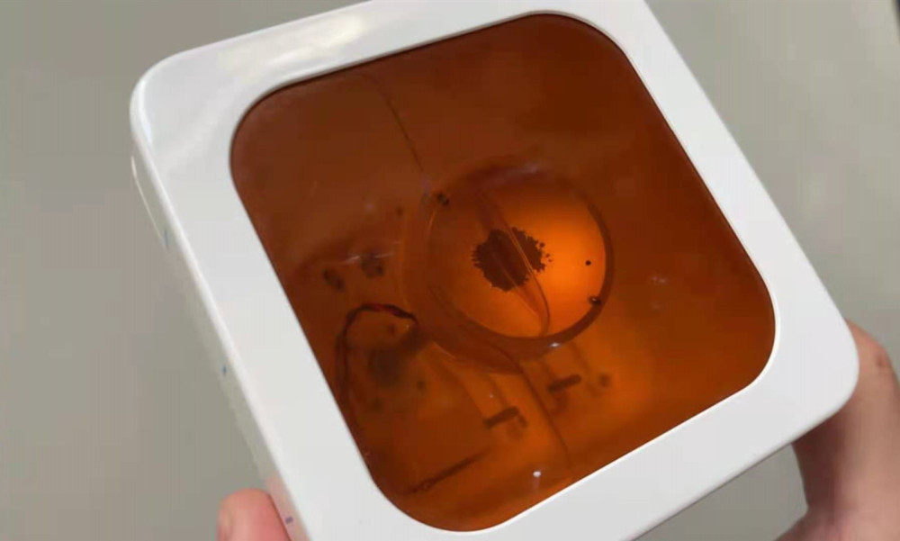 9597853818E5B64637C7EDD076F1461