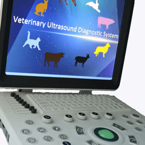 Изучение технологии производительности пьезоэлектрического керамического материала PZT (一)