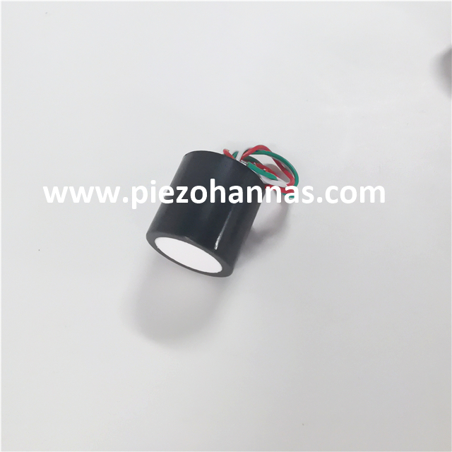 125 кГц ультразвуковой датчик диапазона в воздухе для измерения расстояния