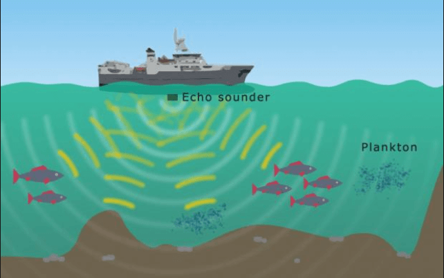 $ 4 (x42u1z@f) t%8} 362 [%@q (1)